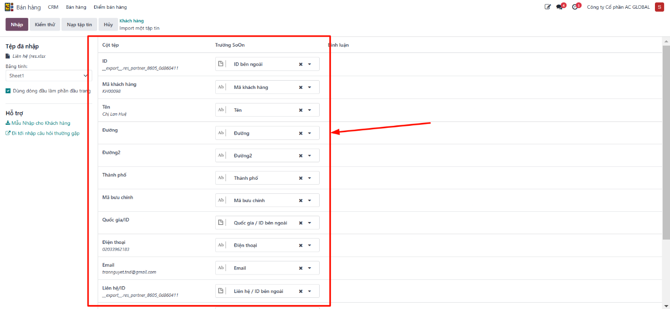Mapping customer columns to ERP database fields