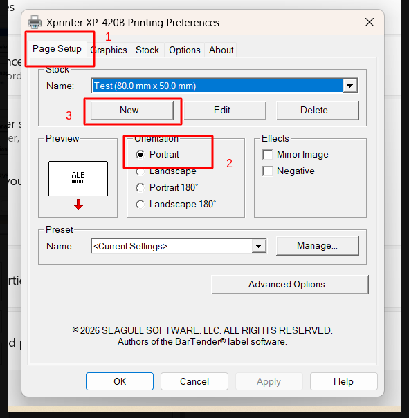 Accessing Page Setup tab