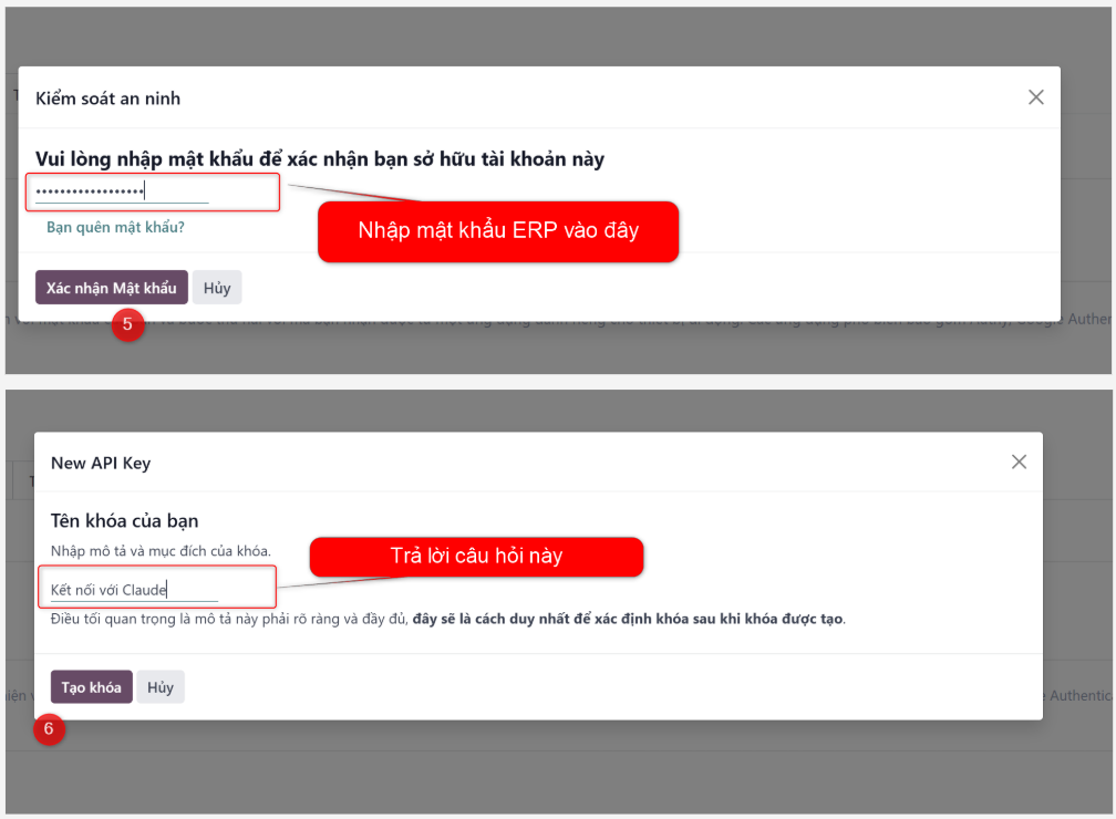 Sao chép mã API Key cá nhân