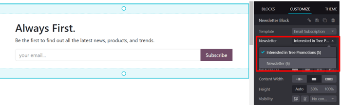 Menu thả xuống newsletter trong thanh bên tùy chỉnh xuất hiện trong Odoo Website.